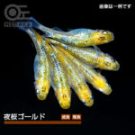 omm006
